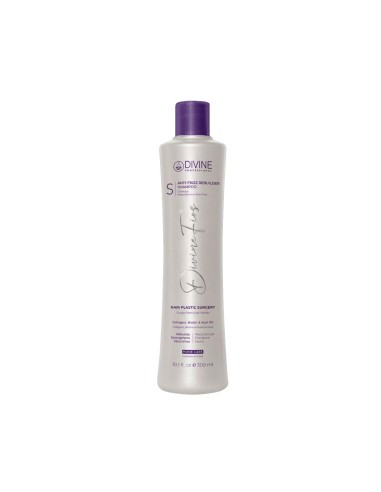 Shampoo Anti Frizz 300 ML DIVINE FIOS